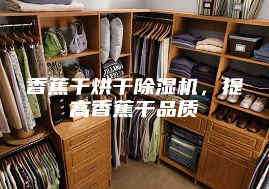 香蕉干烘干除濕機，提高香蕉干品質