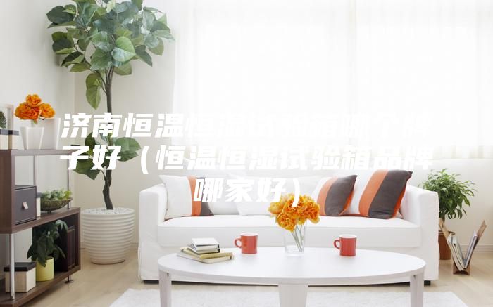 濟(jì)南恒溫恒濕試驗(yàn)箱哪個(gè)牌子好（恒溫恒濕試驗(yàn)箱品牌哪家好）