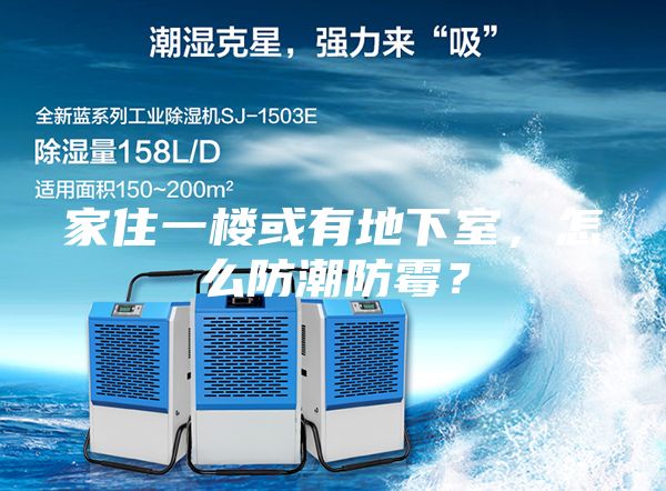 家住一樓或有地下室，怎么防潮防霉？