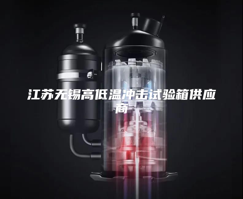 江蘇無錫高低溫沖擊試驗箱供應商