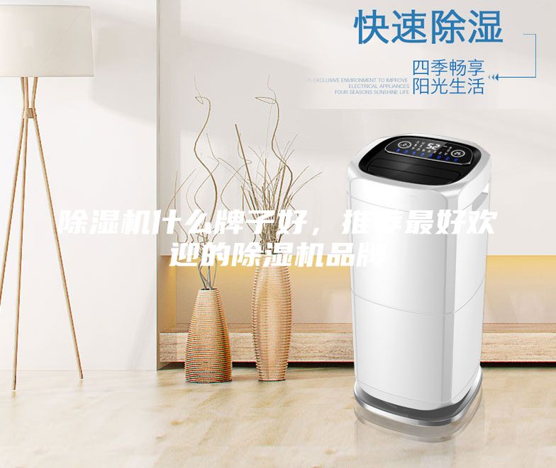 除濕機什么牌子好,推薦最好歡迎的除濕機品牌