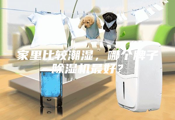 家里比較潮濕，哪個牌子除濕機最好？