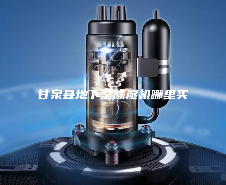 甘泉縣地下室除濕機(jī)哪里買