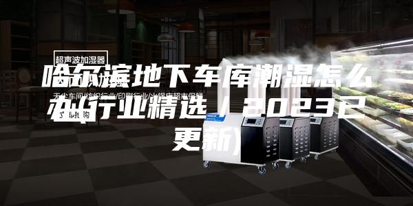 哈爾濱地下車庫潮濕怎么辦(行業(yè)精選/2023已更新)