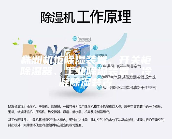 株洲機(jī)柜除濕裝置、開(kāi)關(guān)柜除濕器、工業(yè)除濕裝置、冷凝除濕裝置