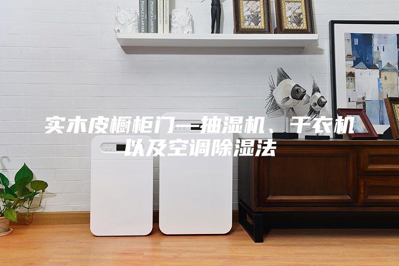 實木皮櫥柜門—抽濕機、干衣機以及空調除濕法