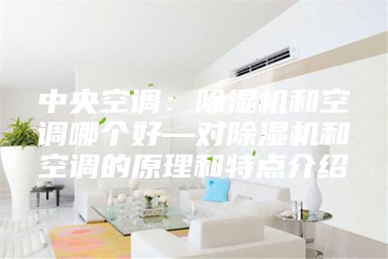 中央空調(diào):除濕機(jī)和空調(diào)哪個(gè)好—對除濕機(jī)和空調(diào)的原理和特點(diǎn)介紹