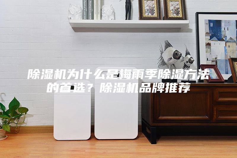除濕機為什么是梅雨季除濕方法的首選?除濕機品牌推薦