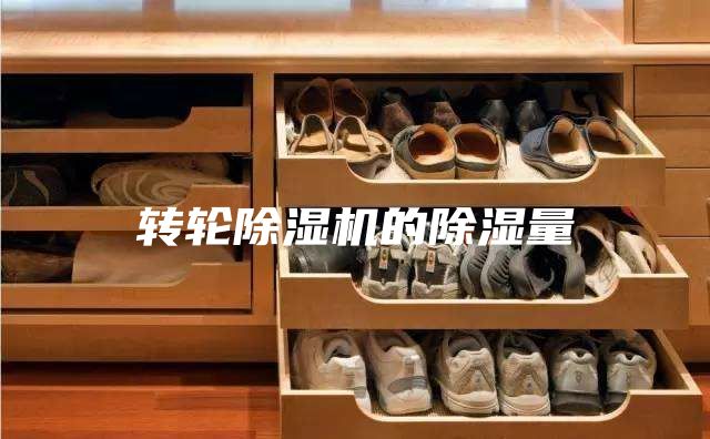 轉輪除濕機的除濕量