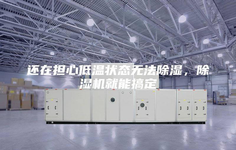 還在擔(dān)心低溫狀態(tài)無(wú)法除濕，除濕機(jī)就能搞定