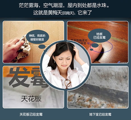 除濕機除濕效率怎么看才正確？