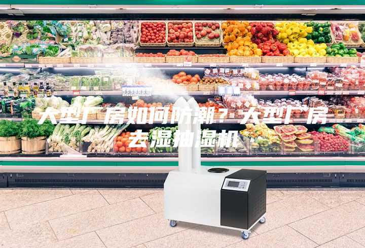 大型廠(chǎng)房如何防潮？大型廠(chǎng)房去濕抽濕機(jī)