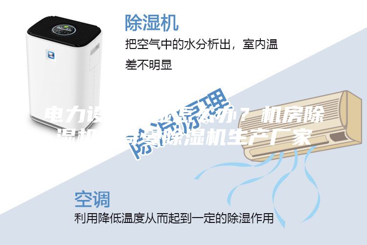 電力設備潮濕怎么辦?機房除濕機安詩曼除濕機生產廠家