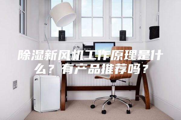 除濕新風機工作原理是什么？有產品推薦嗎？