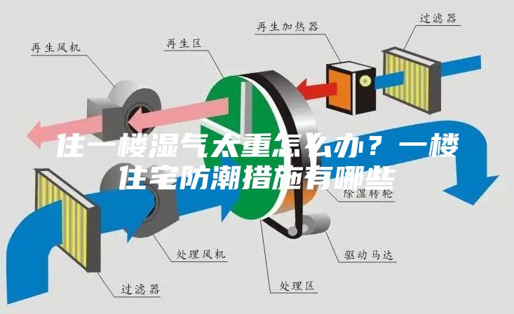 住一樓濕氣太重怎么辦？一樓住宅防潮措施有哪些