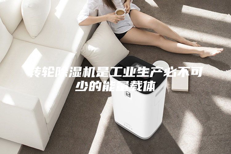 轉輪除濕機是工業生產必不可少的能量載體