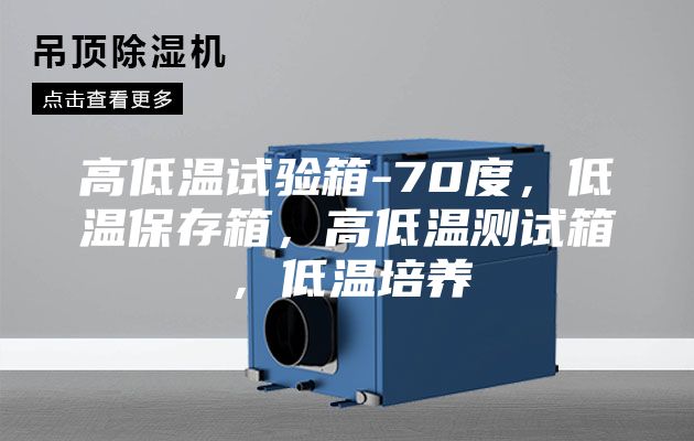 高低溫試驗(yàn)箱-70度，低溫保存箱，高低溫測(cè)試箱，低溫培養(yǎng)